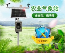 山東地區無公害葡萄種植需要什么條件？