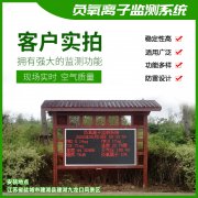 去公園吸氧，看看負(fù)氧離子在線監(jiān)測儀！